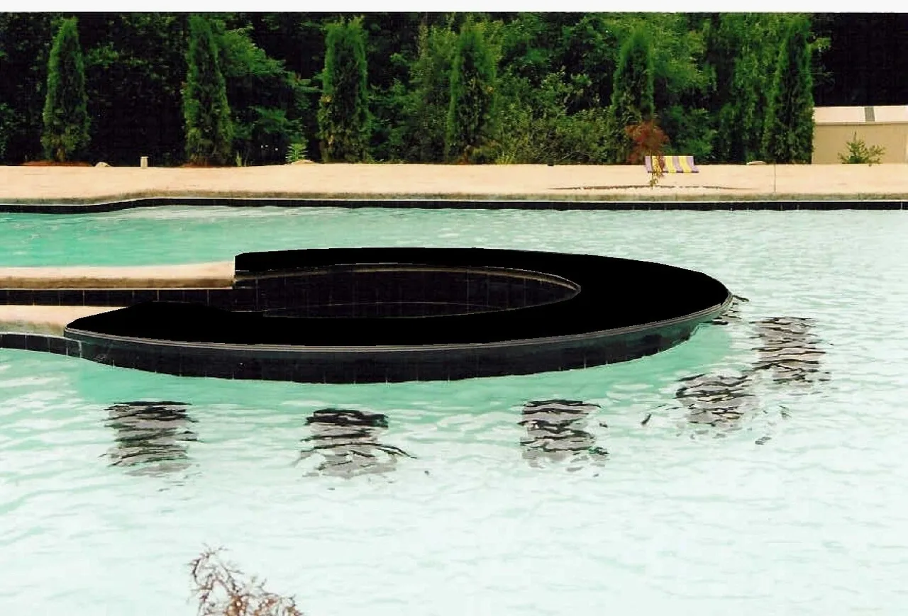 A black floating object in the middle of a pool.