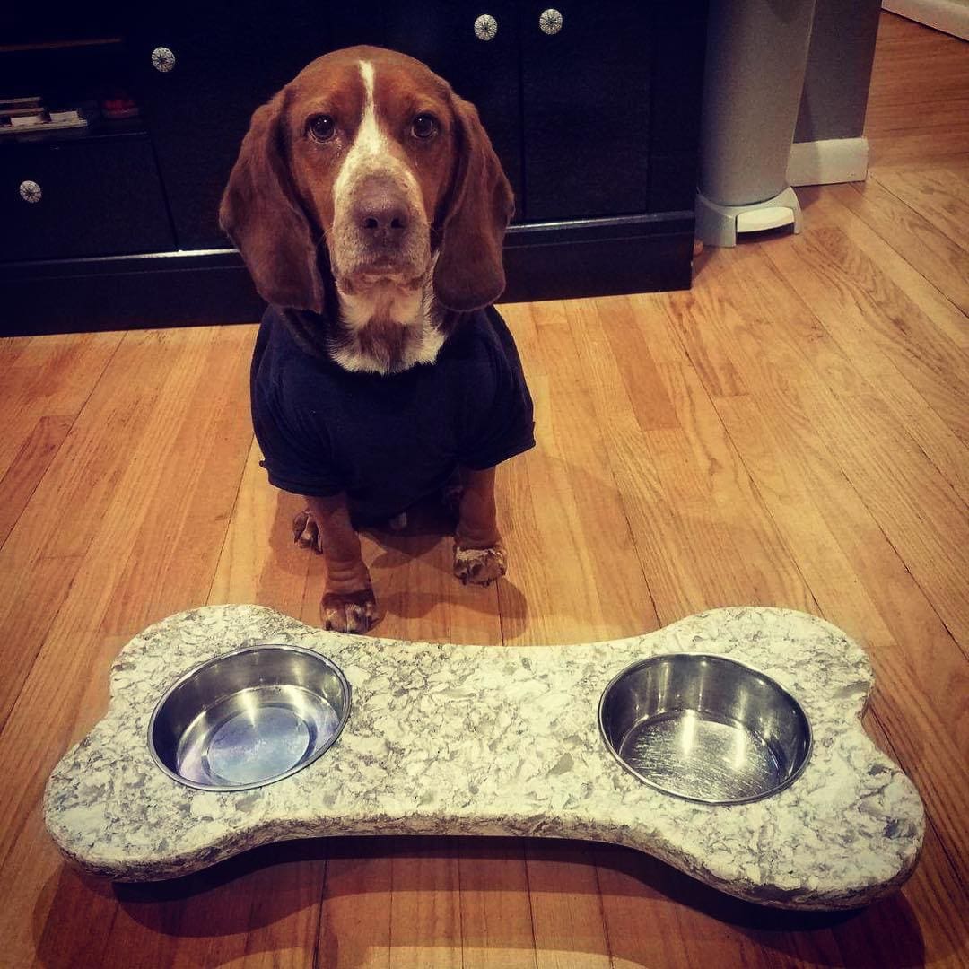 A dog sitting on the floor with his food bowl in front of him.